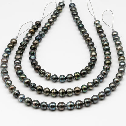 11-12mm Tahitian Pearl in Full Strand, Natural Colors , Temporarily Strung Black Pearls for Jewelry Making, SKU # 3260TH
