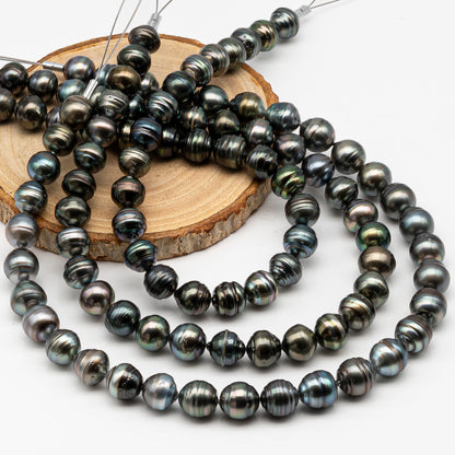 11-12mm Tahitian Pearl in Full Strand, Natural Colors , Temporarily Strung Black Pearls for Jewelry Making, SKU # 3260TH