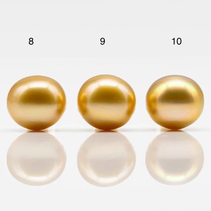 11-12mm Gold South Sea Pearl Near Round Undrilled Single Piece in All Natural Color and High Luster for Jewelry Making, SKU # 1826GS