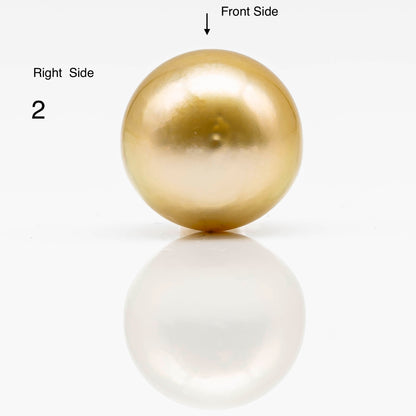 13-14mm Gold South Sea Pearl in Round Single Piece Undrilled, All Natural Color with High Luster for Jewelry Making, SKU # 1833GS