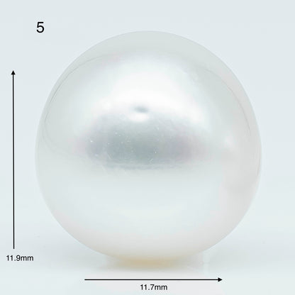 11-12mm  Near Round South Sea Pearl with Amazing Luster and Natural White Color, Loose Single Pice Undrilled, SKU # 1966SS