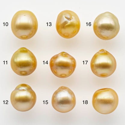 9-10mm South Sea Pearl, Gold Drop Single Piece Nondrilled with High Luster and Minor Blemishes for Jewelry Making, SKU # 1984GS