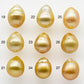 9-10mm South Sea Pearl, Gold Drop Single Piece Nondrilled with High Luster and Minor Blemishes for Jewelry Making, SKU # 1984GS