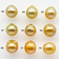 9-10mm South Sea Pearl, Gold Drop Single Piece Nondrilled with High Luster and Minor Blemishes for Jewelry Making, SKU # 1984GS