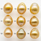 10-11mm South Sea Pearl, Gold Drop Single Piece Nondrilled with High Luster and Minor Blemishes for Jewelry Making, SKU # 1989GS