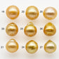 10-11mm South Sea Pearl, Gold Drop Single Piece Nondrilled with High Luster and Minor Blemishes for Jewelry Making, SKU # 1990GS