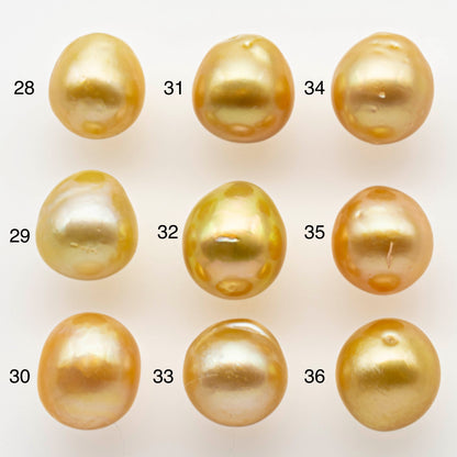 11-12mm Gold South Sea Pearl Drops Undrilled for Jewelry Making, Natural Gold Color Saltwater Pearl, SKU#1994GS