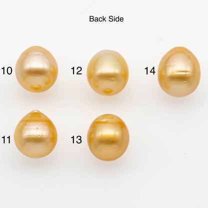 12-13mm Gold South Sea Pearl Undrilled for Jewelry Making, Natural Gold Color Saltwater Pearl, SKU#2299GS