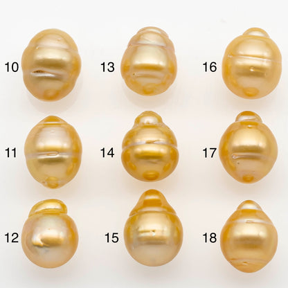 12-13mm South Sea Pearl, Gold Drop Single Piece Nondrilled with High Luster and Minor Blemishes for Jewelry Making, SKU # 2302GS