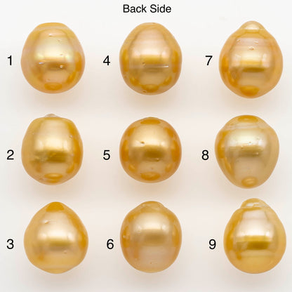 13-14mm South Sea Pearl, Gold Drop Single Piece Nondrilled with High Luster and Minor Blemishes for Jewelry Making, SKU # 2305GS