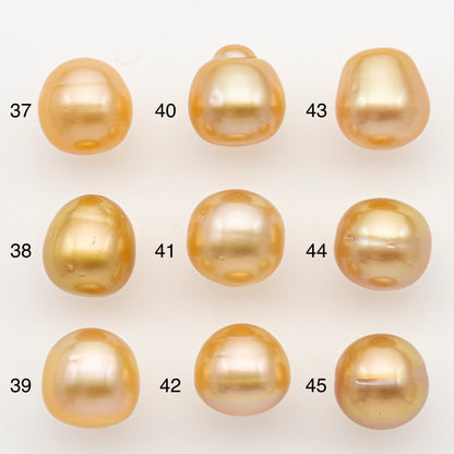 10-11mm South Sea Pearl in Natural Color with High Luster, Button Loose Pearl, Undrilled for Jewelry Making, SKU # 3171GS