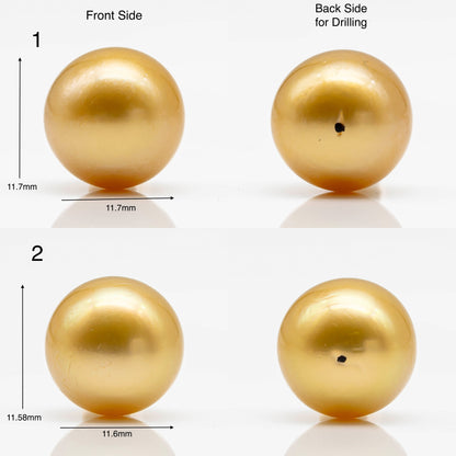 10-12mm Gold South Sea Pearl in Round Single Piece Undrilled, All Natural Color with High Luster for Jewelry Making, SKU # 1902GS