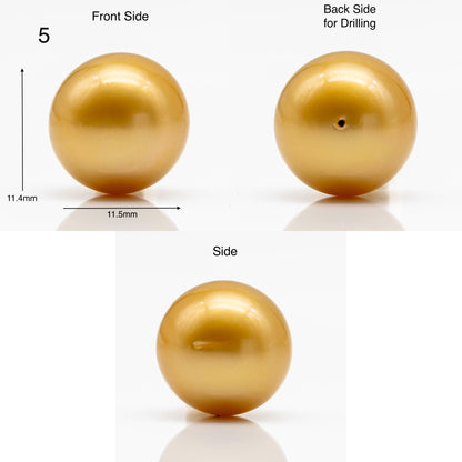 10-12mm Gold South Sea Pearl in Round Single Piece Undrilled, All Natural Color with High Luster for Jewelry Making, SKU # 1902GS