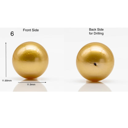 10-12mm Gold South Sea Pearl in Round Single Piece Undrilled, All Natural Color with High Luster for Jewelry Making, SKU # 1902GS