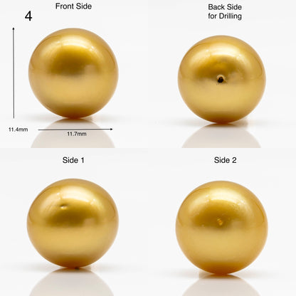10-12mm Gold South Sea Pearl in Round Single Piece Undrilled, All Natural Color with High Luster for Jewelry Making, SKU # 1902GS