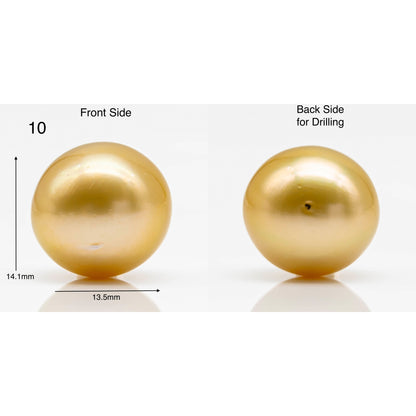 13-14mm Round Gold South Sea Pearl in Single Piece Undrilled, All Natural Color with High Luster for Jewelry Making, SKU # 1904GS
