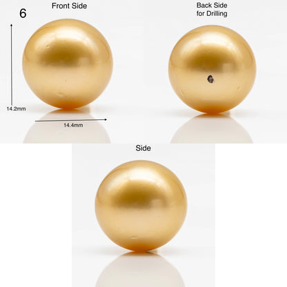 14-15mm Large Size Golden South Sea Pearl in Natural Color with High Luster, Round Single Piece Undrilled for Jewelry Making, SKU # 1905GS