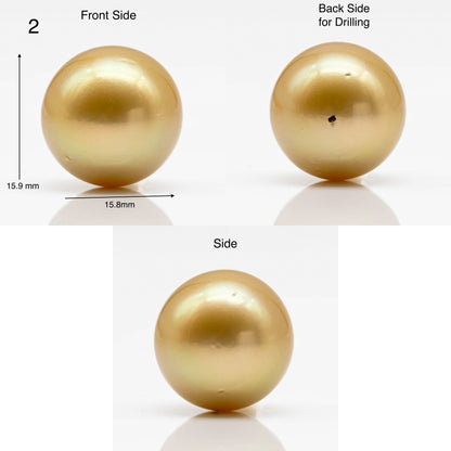 15-16mm Large Size Golden South Sea Pearl in Natural Color with High Luster, Round Single Piece Undrilled for Jewelry Making, SKU # 1906GS