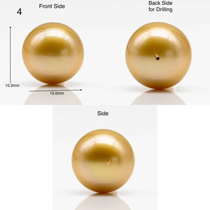 15-16mm Large Size Golden South Sea Pearl in Natural Color with High Luster, Round Single Piece Undrilled for Jewelry Making, SKU # 1906GS