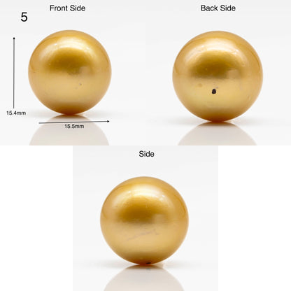15-16mm Large Size Golden South Sea Pearl in Natural Color with High Luster, Round Single Piece Undrilled for Jewelry Making, SKU # 1906GS