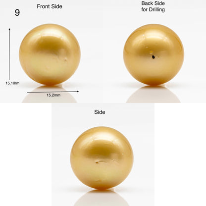 15-16mm Large Size Golden South Sea Pearl in Natural Color with High Luster, Round Single Piece Undrilled for Jewelry Making, SKU # 1906GS