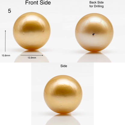 13-14mm Round Gold South Sea Pearl in Single Piece Undrilled, All Natural Color with High Luster for Jewelry Making, SKU # 1904GS