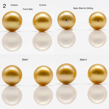 10-14mm Gold South Sea Pearl in Pair Undrilled, All Natural Color with High Luster for Jewelry Making, SKU # 1908GS
