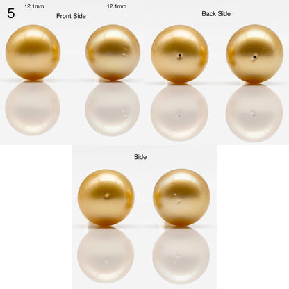 10-14mm Gold South Sea Pearl in Pair Undrilled, All Natural Color with High Luster for Jewelry Making, SKU # 1908GS