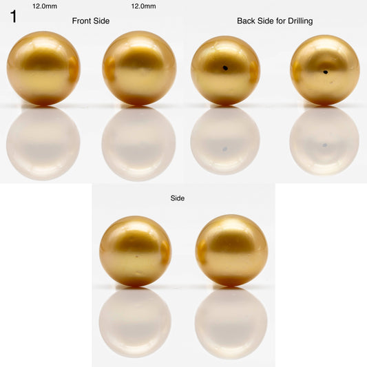 10-14mm Gold South Sea Pearl in Pair Undrilled, All Natural Color with High Luster for Jewelry Making, SKU # 1908GS