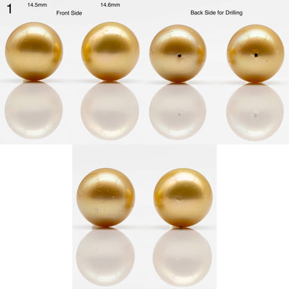 14-17mm Golden South Sea Pearl in  Undrilled Pair, Natural Color with High Luster for Jewelry Making, SKU # 1909GS