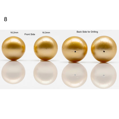 14-17mm Golden South Sea Pearl in  Undrilled Pair, Natural Color with High Luster for Jewelry Making, SKU # 1909GS