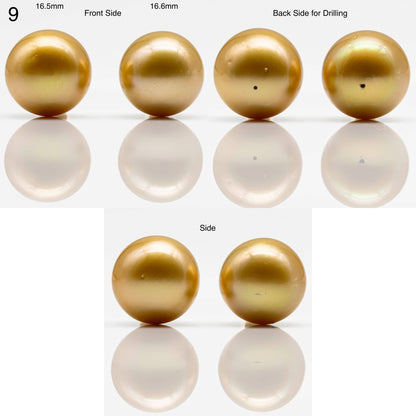 14-17mm Golden South Sea Pearl in  Undrilled Pair, Natural Color with High Luster for Jewelry Making, SKU # 1909GS