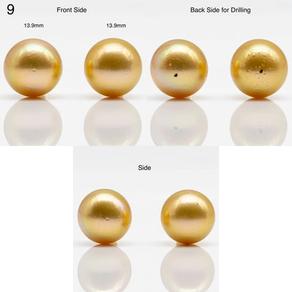 10-14mm Gold South Sea Pearl in Pair Undrilled, All Natural Color with High Luster for Jewelry Making, SKU # 1908GS
