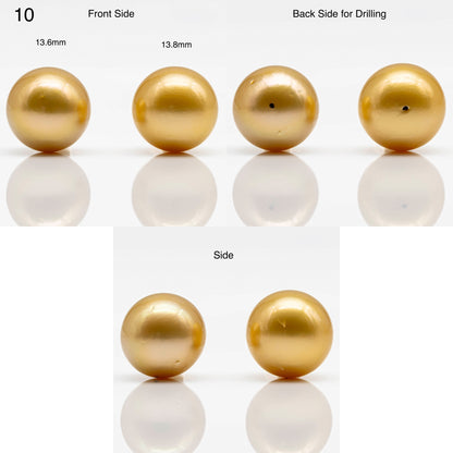 10-14mm Gold South Sea Pearl in Pair Undrilled, All Natural Color with High Luster for Jewelry Making, SKU # 1908GS