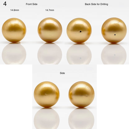 14-17mm Golden South Sea Pearl in  Undrilled Pair, Natural Color with High Luster for Jewelry Making, SKU # 1909GS