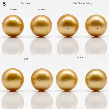 14-17mm Golden South Sea Pearl in  Undrilled Pair, Natural Color with High Luster for Jewelry Making, SKU # 1909GS
