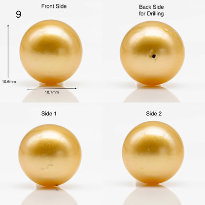 10-12mm Gold South Sea Pearl in Round Single Piece Undrilled, All Natural Color with High Luster for Jewelry Making, SKU # 1902GS