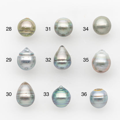9-10mm Tahitian Pearl, Loose Undrilled with High Luster and Blemishes for Jewelry Making, SKU # 2957TH
