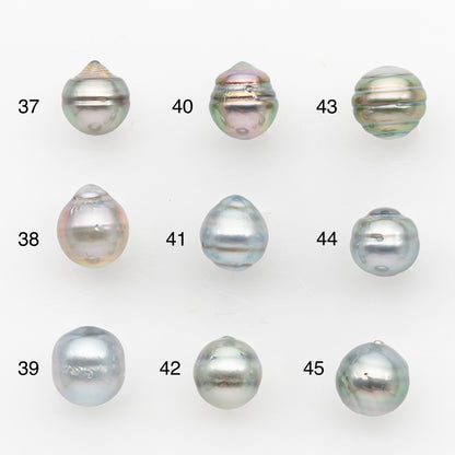 9-10mm Tahitian Pearl, Loose Undrilled with High Luster and Blemishes for Jewelry Making, SKU # 2957TH