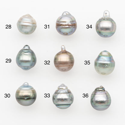 10-11mm Tahitian Pearl, Loose Undrilled with High Luster and Blemishes for Jewelry Making, SKU # 2959TH