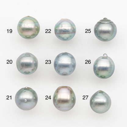 11-12mm Tahitian Pearl, Loose Undrilled with High Luster and Blemishes for Jewelry Making, SKU # 2960TH