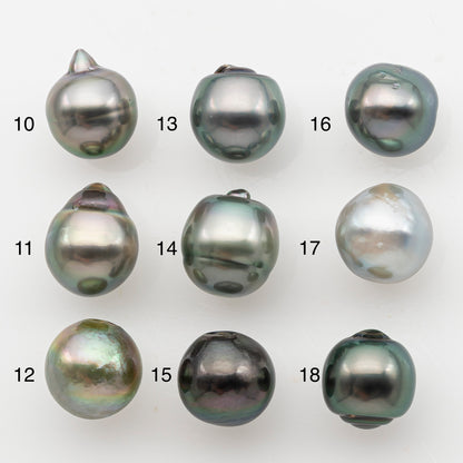 10-11mm Tahitian Pearl, Loose Undrilled with High Luster and Minor Blemishes for Jewelry Making, SKU # 3066TH