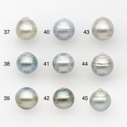11-12mm Tahitian Pearl, Loose Undrilled with High Luster and Blemishes for Jewelry Making, SKU # 2960TH