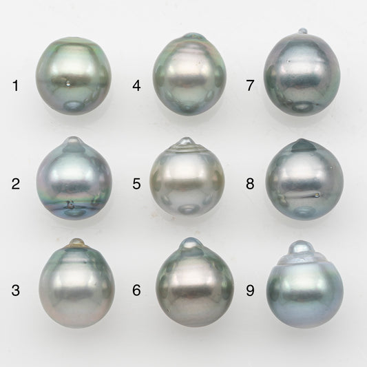 12-13mm Tahitian Pearl, Loose Undrilled with High Luster and Minor Blemishes for Jewelry Making, SKU # 3070TH