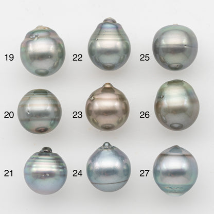 12-13mm Tahitian Pearl, Loose Undrilled with High Luster and Minor Blemishes for Jewelry Making, SKU # 3070TH
