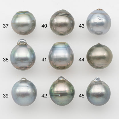 12-13mm Tahitian Pearl, Loose Undrilled with High Luster and Minor Blemishes for Jewelry Making, SKU # 3070TH