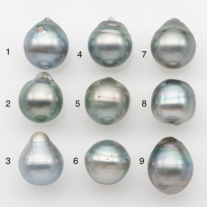 12-13mm Tahitian Pearl, Loose Undrilled with High Luster and Minor Blemishes for Jewelry Making, SKU # 3071TH
