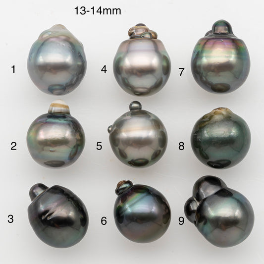 13 or 14mmmm Tahitian Pearl, Loose Undrilled with High Luster and Minor Blemishes for Jewelry Making, SKU # 3074TH
