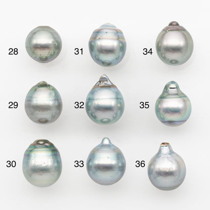 11-12mm Tahitian Pearl, Loose Undrilled with High Luster and Blemishes for Jewelry Making, SKU # 2961TH