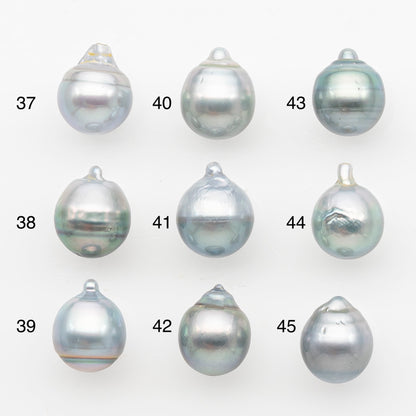 11-12mm Tahitian Pearl, Loose Undrilled with High Luster and Blemishes for Jewelry Making, SKU # 2961TH